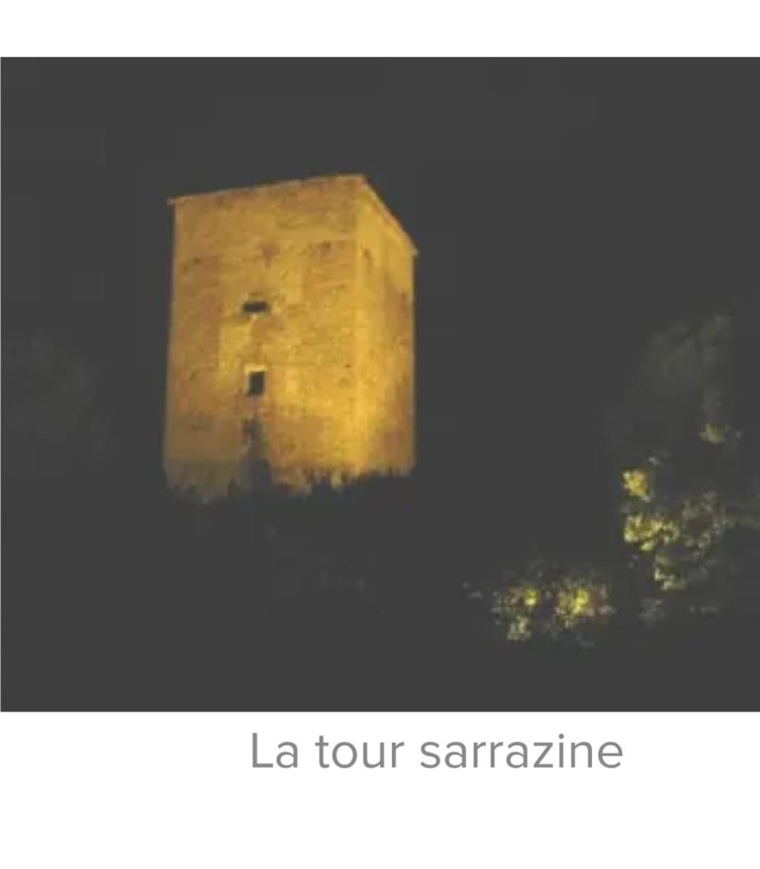 La Jolie Vue Et La Maison De La Tour- Cordes-Sur-Ciel Les Cabannes  Extérieur photo